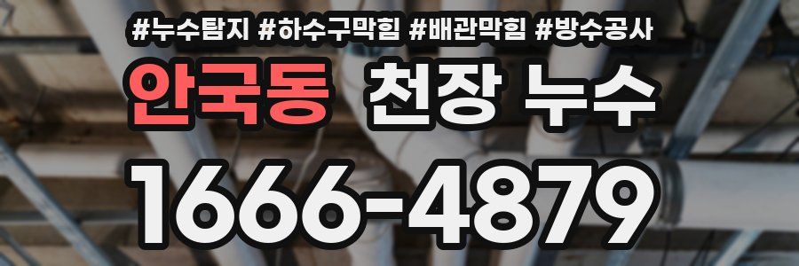 안국동 천장 누수