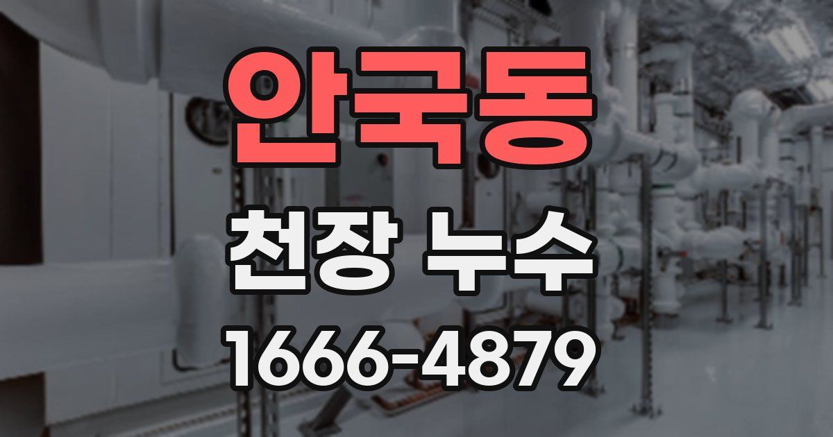 안국동 천장 누수
