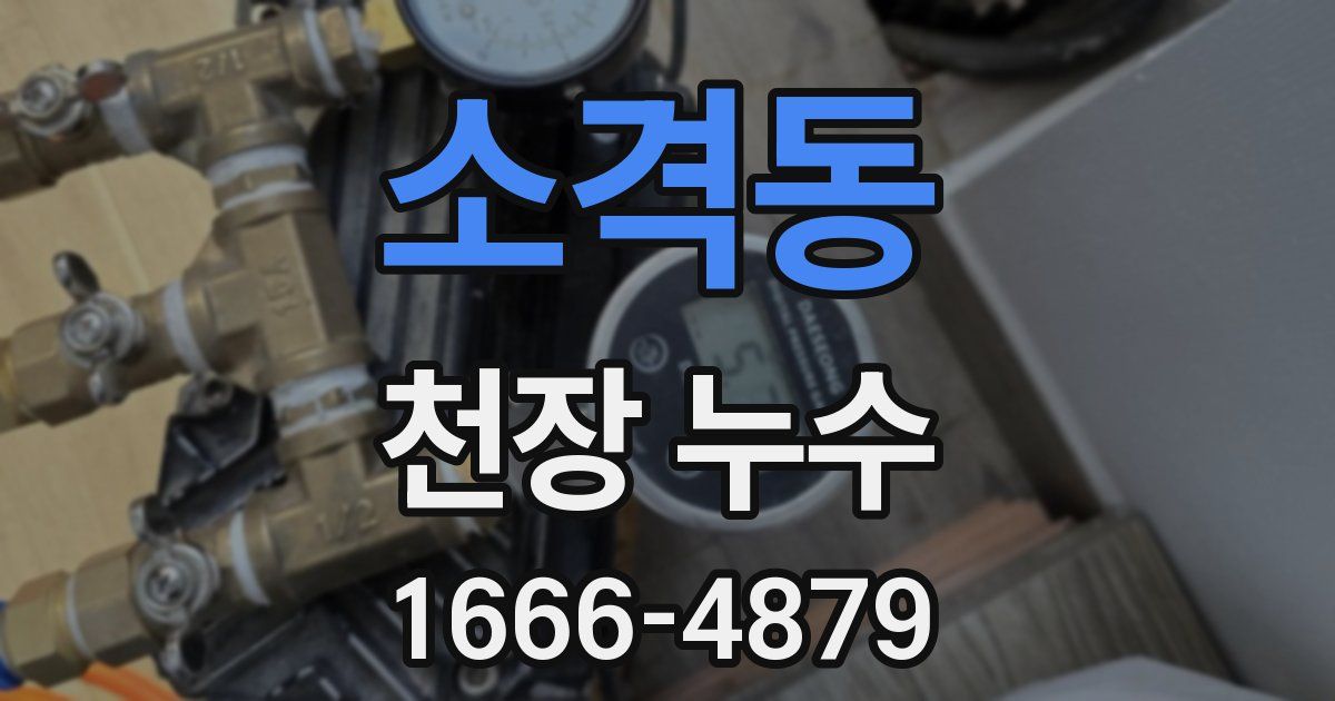 소격동 천장 누수