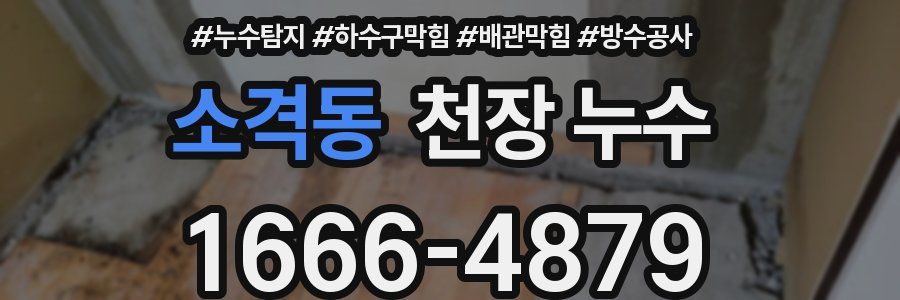 소격동 천장 누수