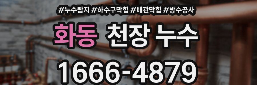 화동 천장 누수