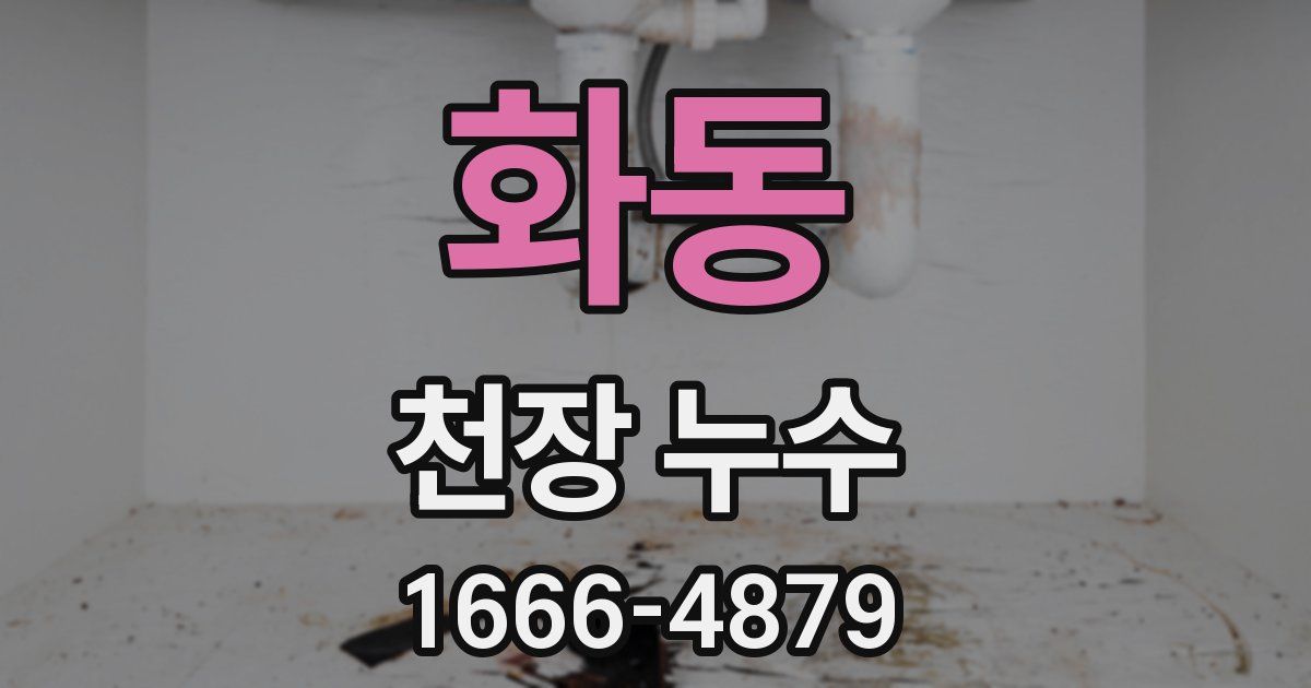 화동 천장 누수
