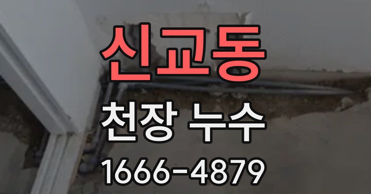 신교동 천장 누수