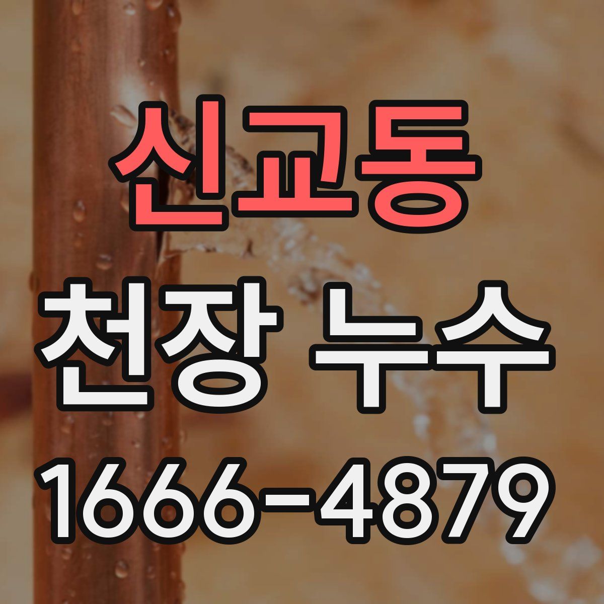 신교동 천장 누수