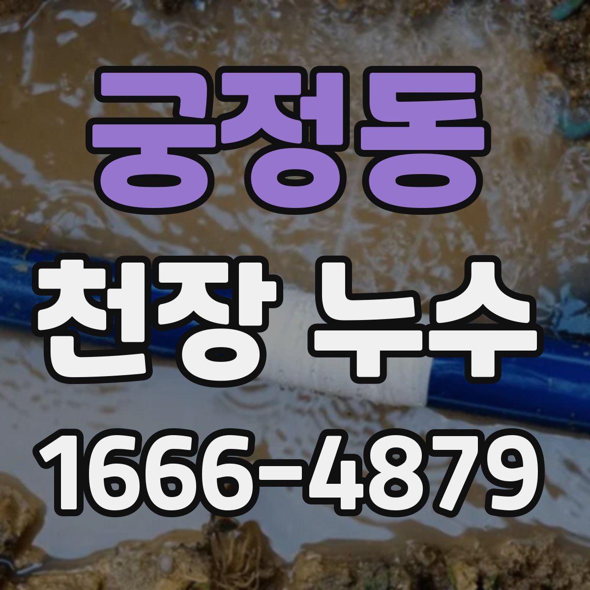 궁정동 천장 누수