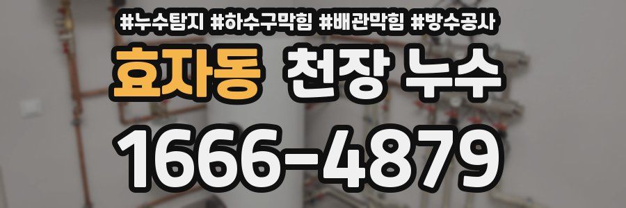 효자동 천장 누수