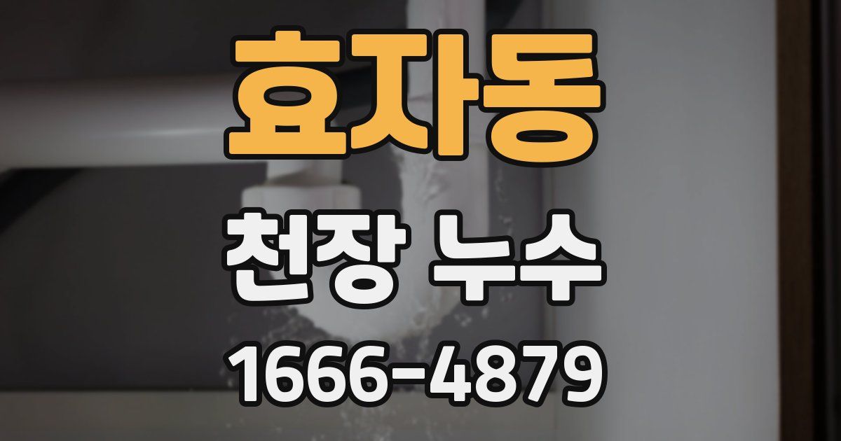 효자동 천장 누수