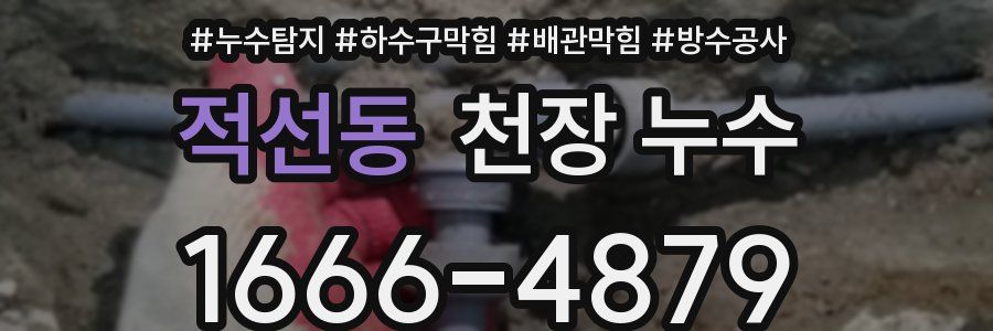 적선동 천장 누수