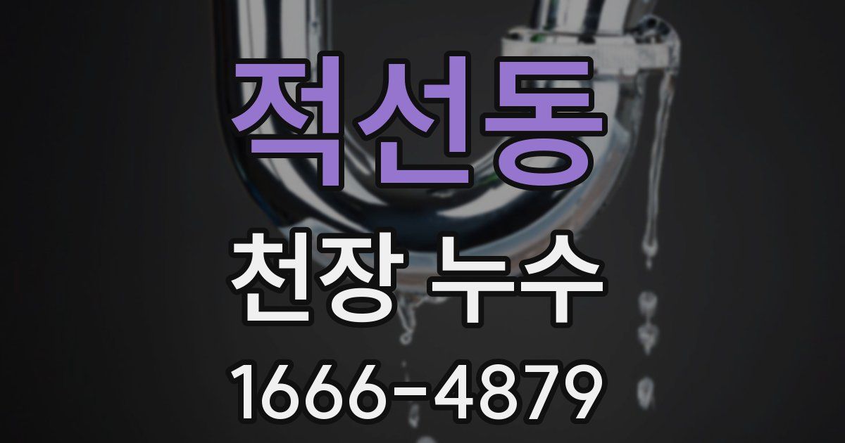 적선동 천장 누수