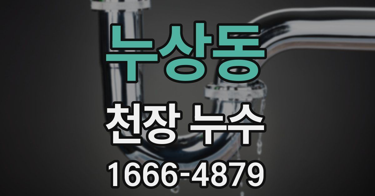 누상동 천장 누수