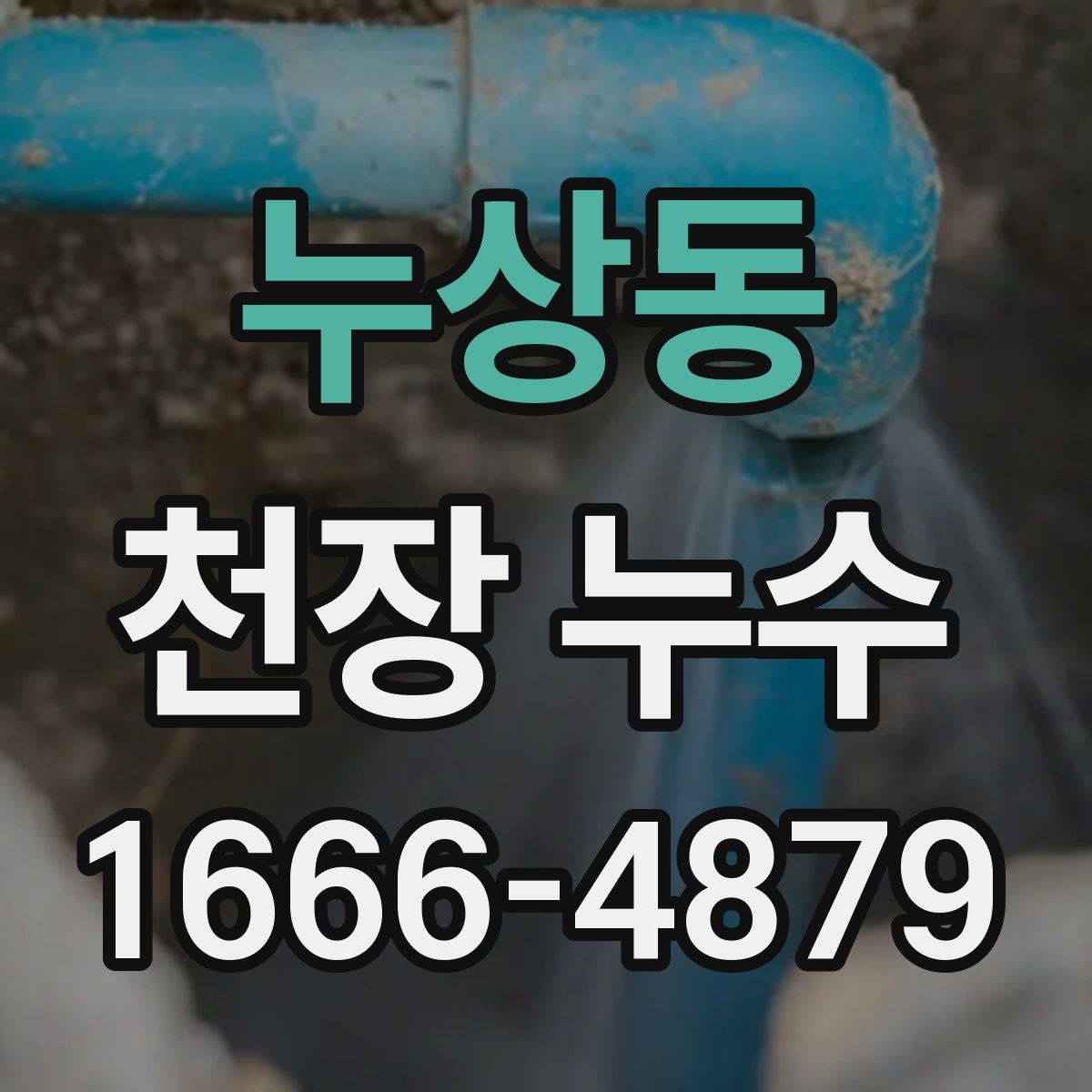 누상동 천장 누수