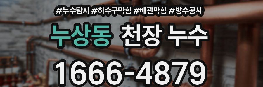 누상동 천장 누수