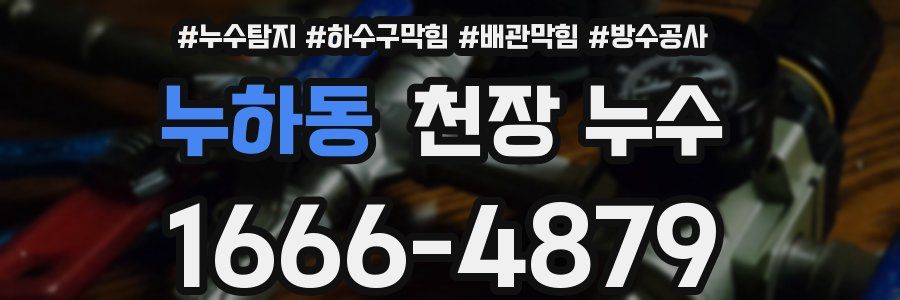 누하동 천장 누수