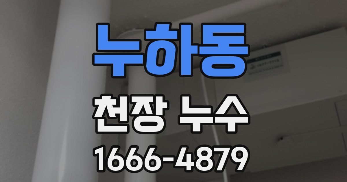 누하동 천장 누수