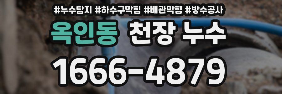 옥인동 천장 누수