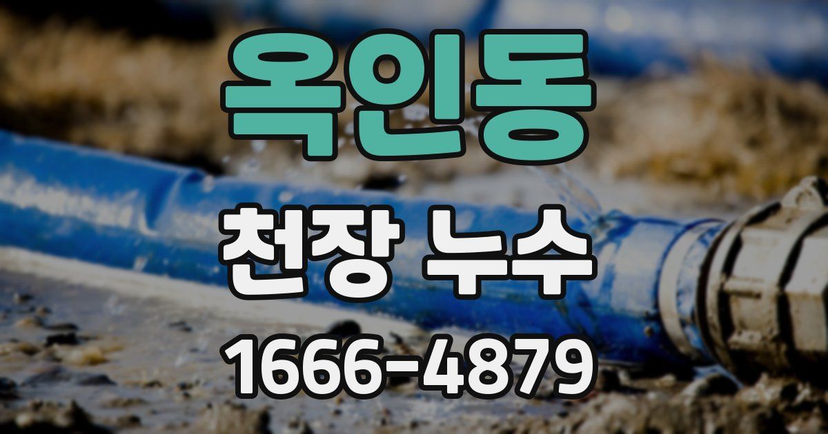 옥인동 천장 누수