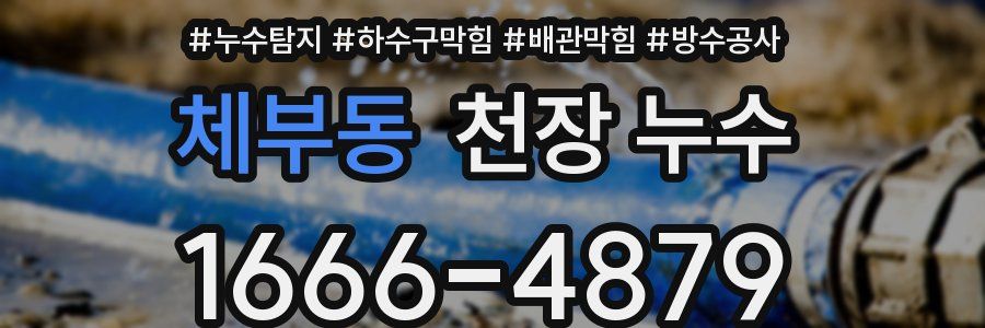 체부동 천장 누수