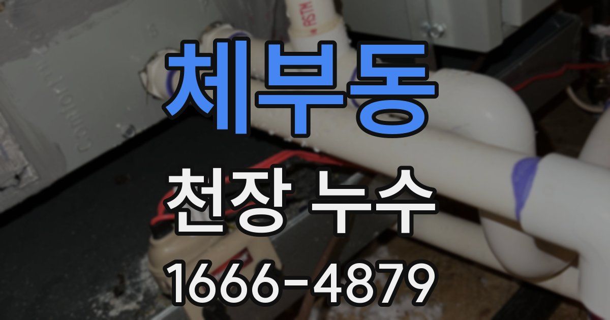 체부동 천장 누수