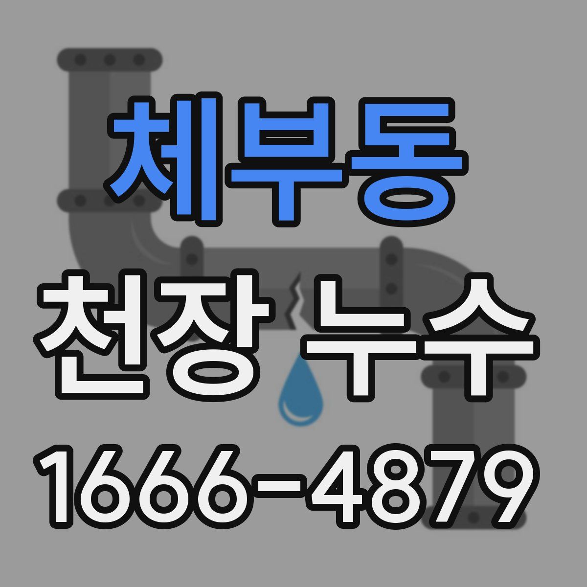 체부동 천장 누수