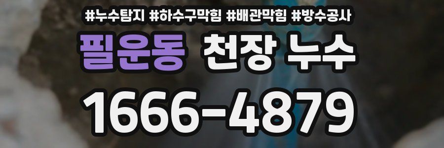 필운동 천장 누수