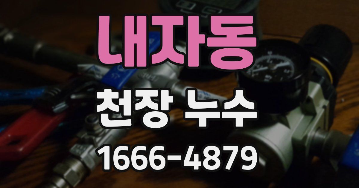 내자동 천장 누수