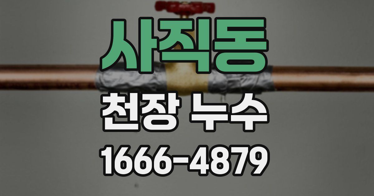 사직동 천장 누수