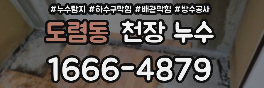 도렴동 천장 누수