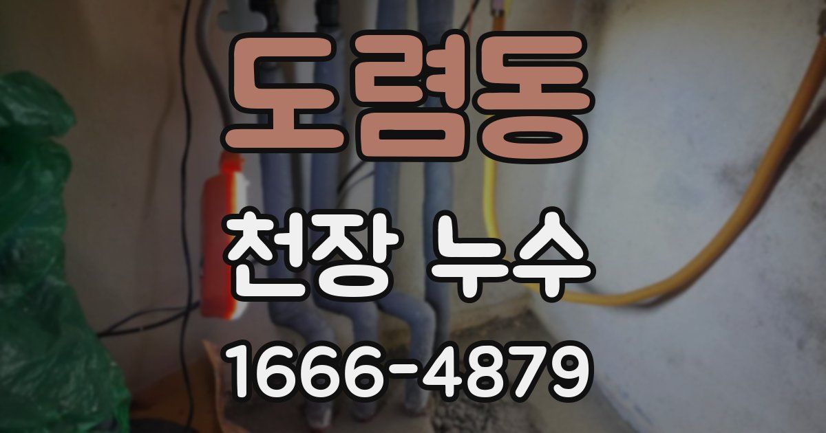 도렴동 천장 누수