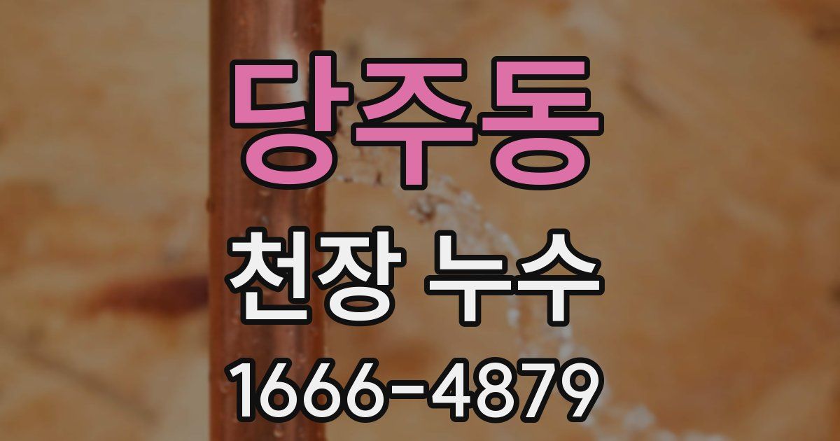 당주동 천장 누수