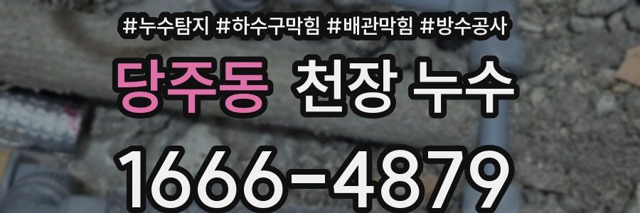 당주동 천장 누수