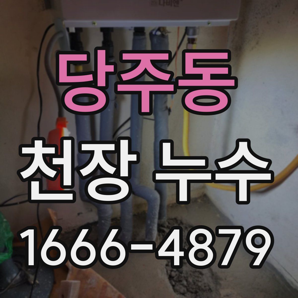 당주동 천장 누수