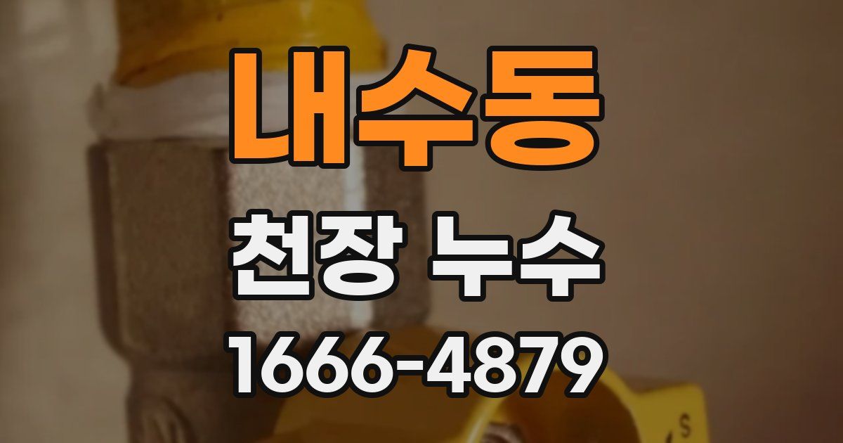 내수동 천장 누수