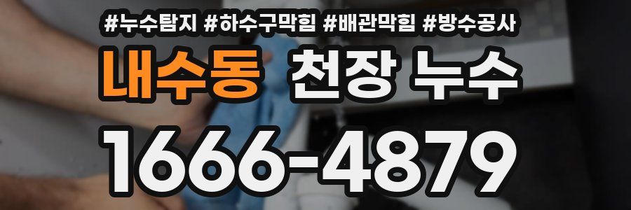 내수동 천장 누수