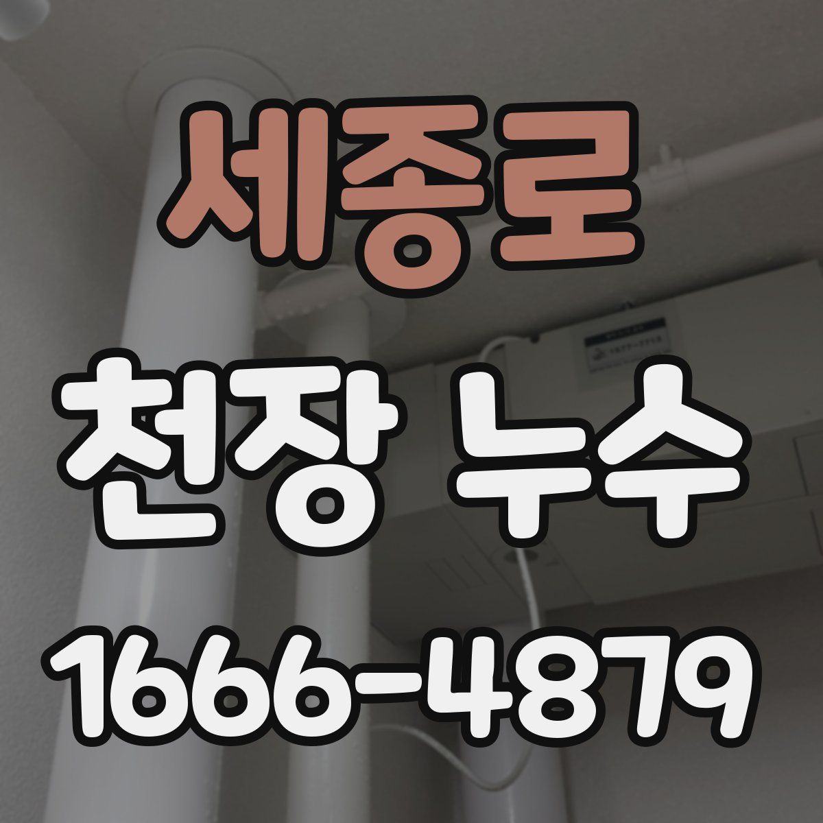 세종로 천장 누수