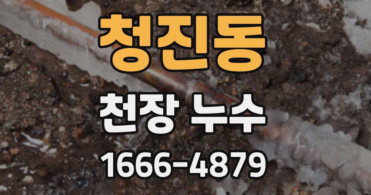 청진동 천장 누수