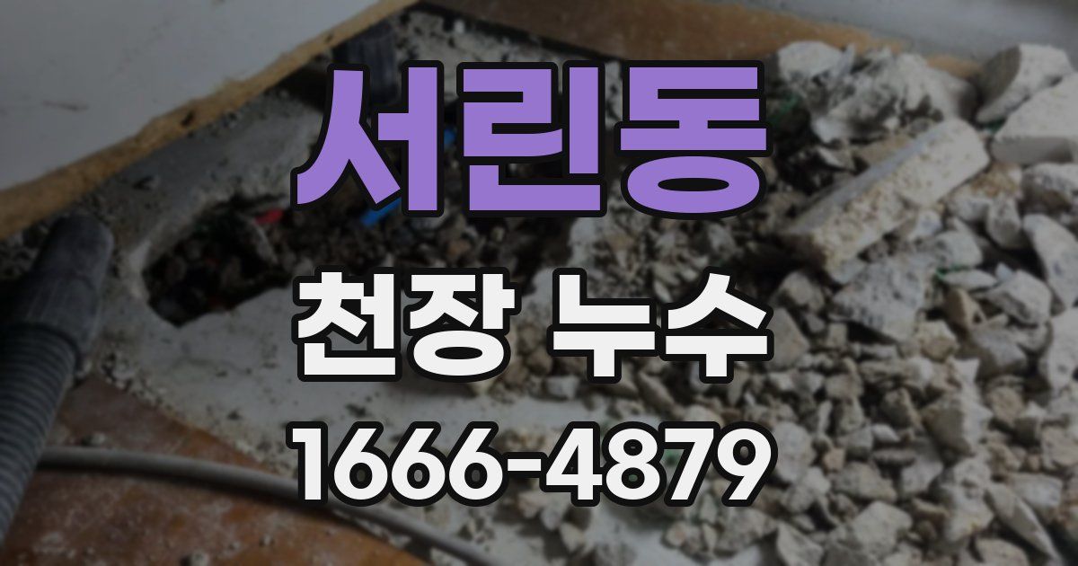 서린동 천장 누수