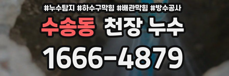 수송동 천장 누수