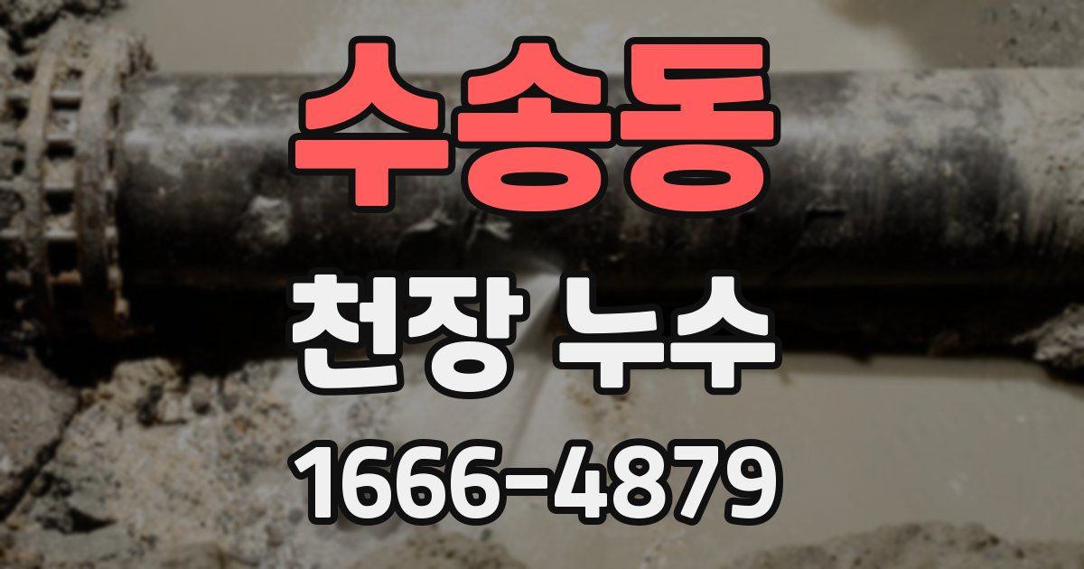 수송동 천장 누수