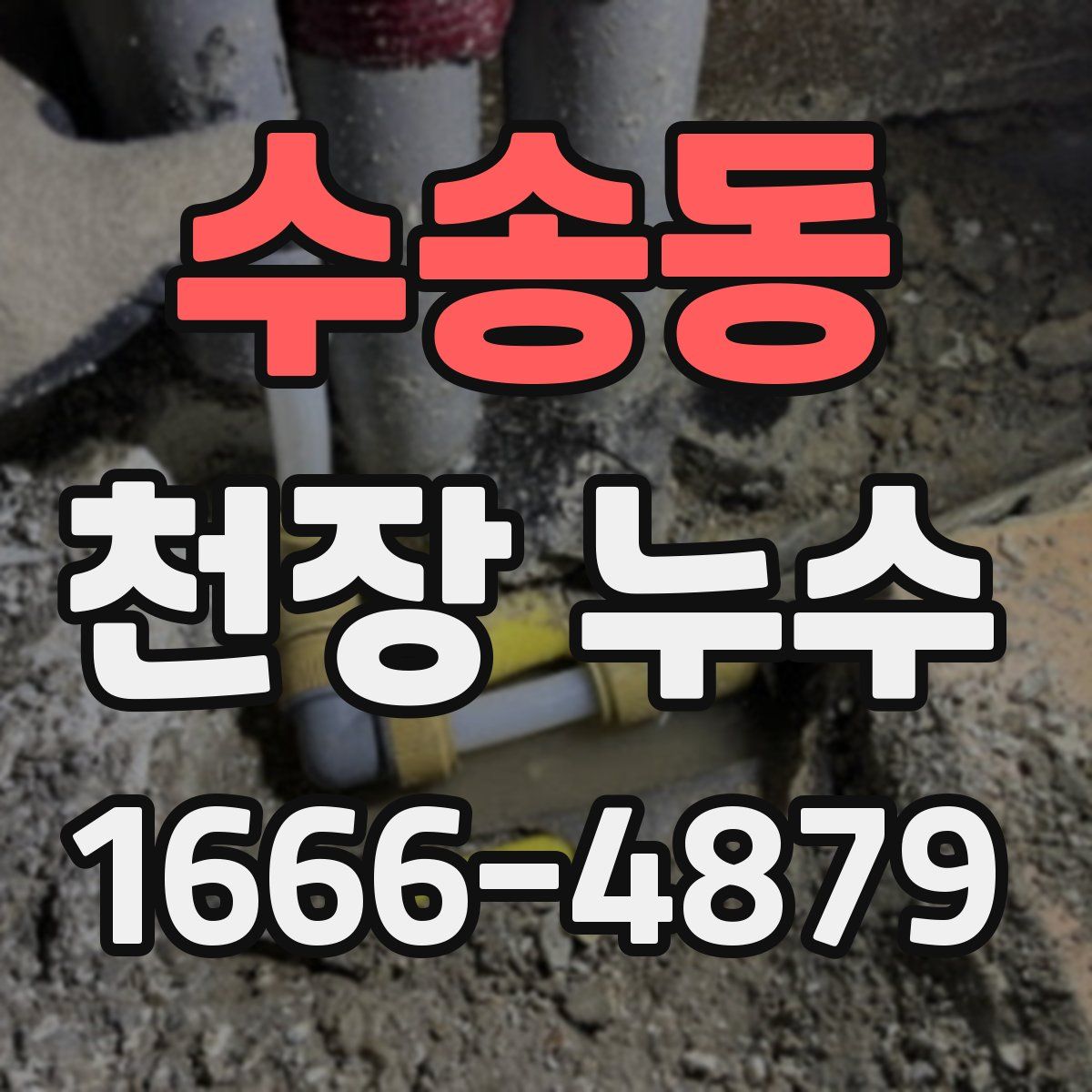 수송동 천장 누수