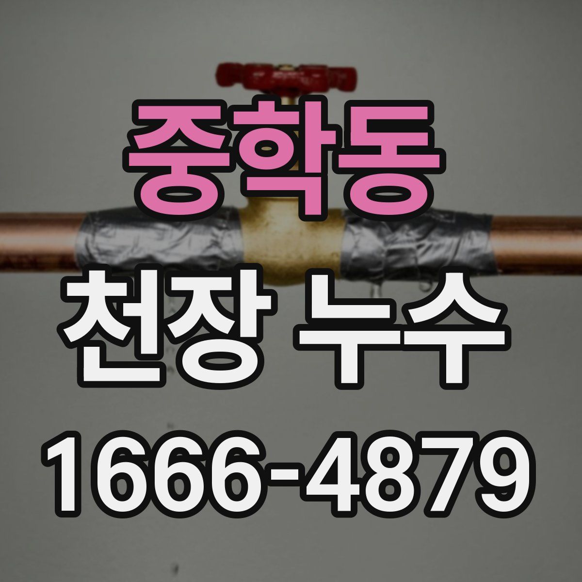 중학동 천장 누수