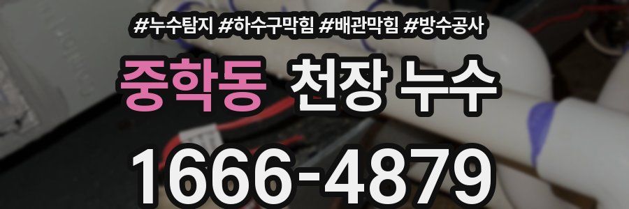 중학동 천장 누수