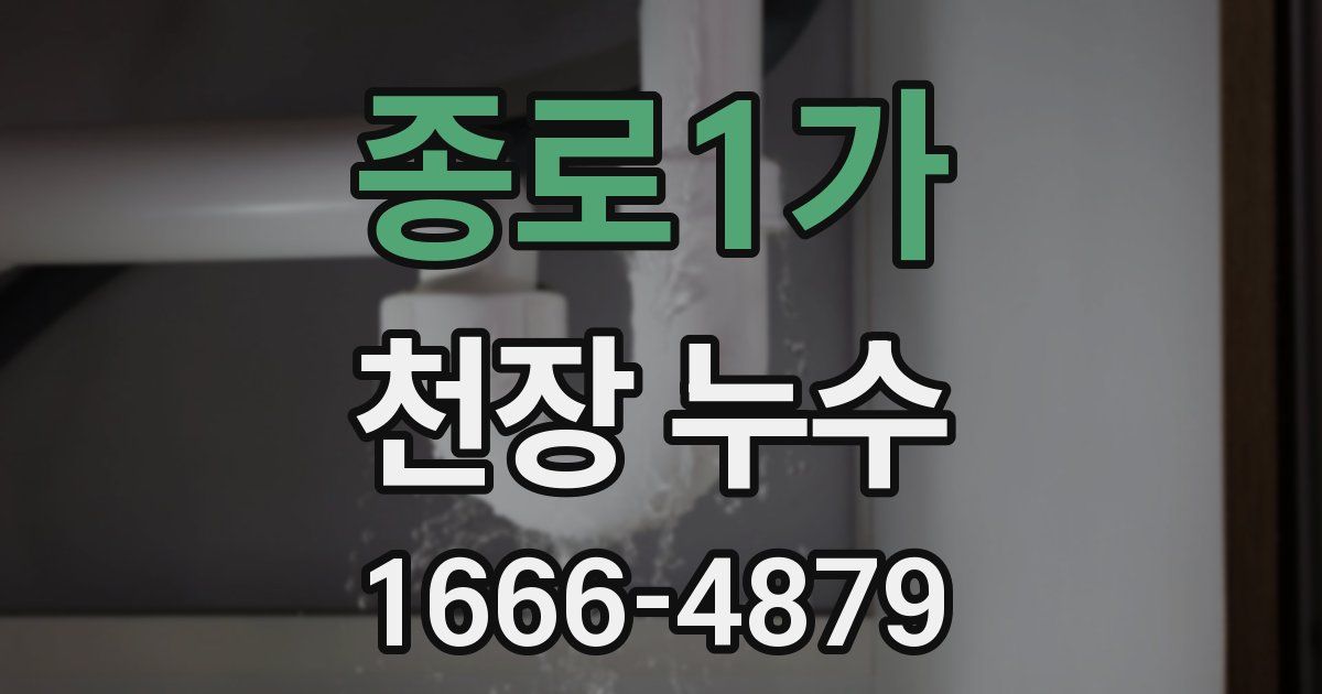 종로1가 천장 누수