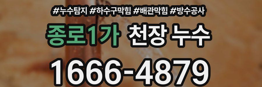 종로1가 천장 누수