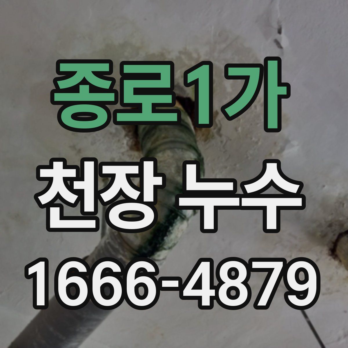 종로1가 천장 누수