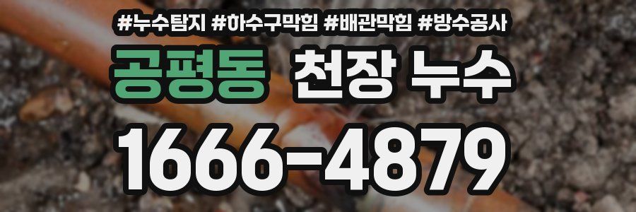 공평동 천장 누수