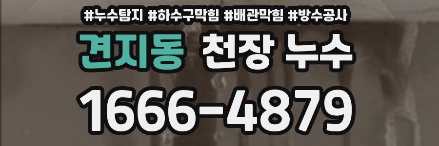 견지동 천장 누수