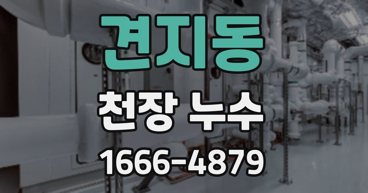 견지동 천장 누수
