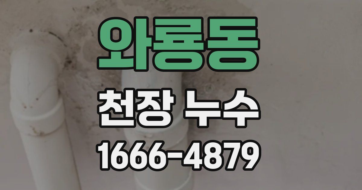 와룡동 천장 누수