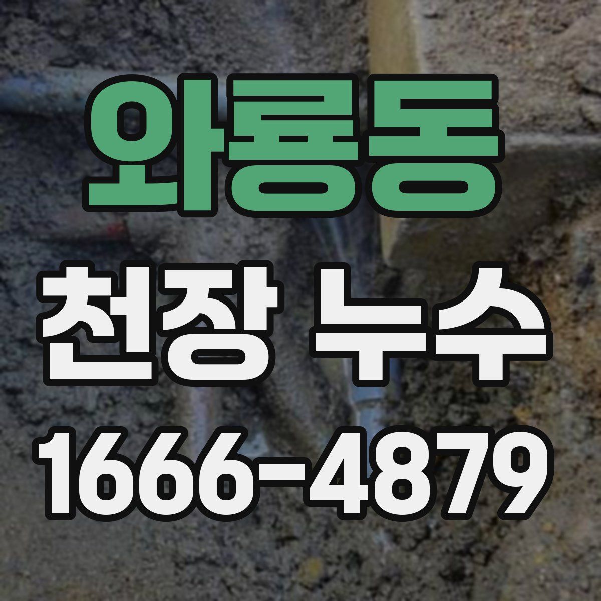 와룡동 천장 누수