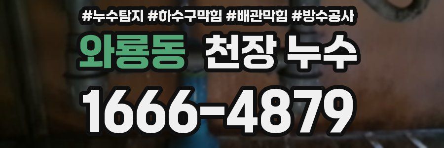 와룡동 천장 누수